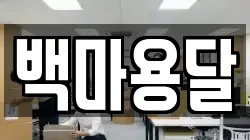 백마용달