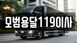 모범용달119이사