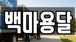 백마용달