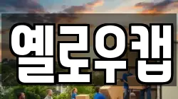 옐로우캡