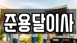 준용달이사