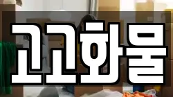 고고화물