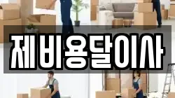 제비용달이사