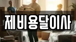제비용달이사