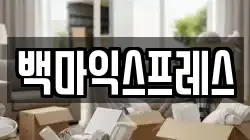 백마익스프레스