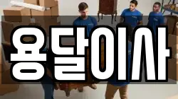 용달이사
