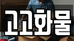 고고화물