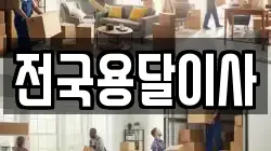 전국용달이사