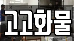 고고화물