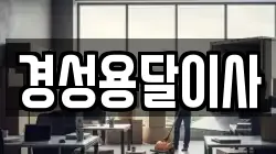 경성용달이사