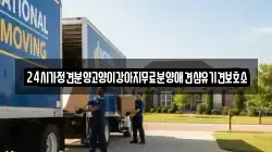 24시가정견분양고양이강아지무료분양애견샵유기견보호소
