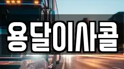 용달이사콜