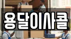 용달이사콜