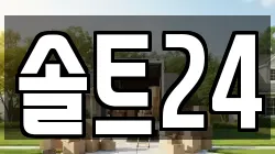 솔트24