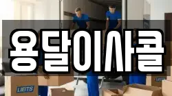 용달이사콜