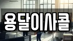용달이사콜