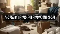 누수탐지변기막힘싱크대막힘수도설비집수리