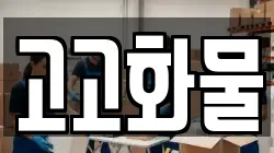 고고화물