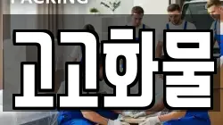 고고화물