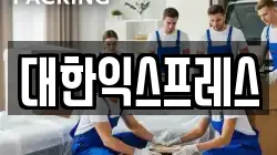 대한익스프레스