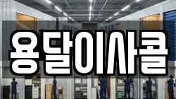 용달이사콜