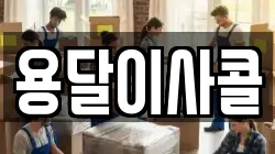 용달이사콜