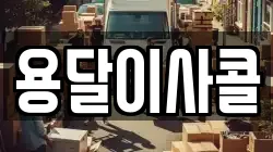 용달이사콜