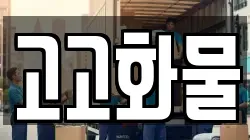고고화물