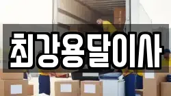 최강용달이사
