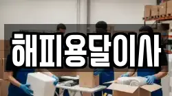 해피용달이사