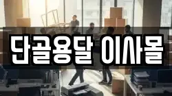 단골용달 이사몰