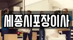 세종시포장이사