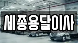 세종용달이사