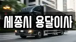 세종시 용달이사