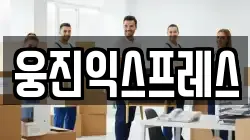 웅진익스프레스