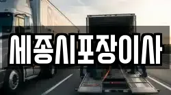 세종시포장이사