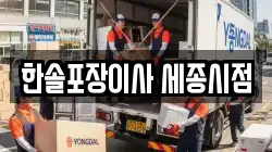 한솔포장이사 세종시점