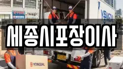 세종시포장이사