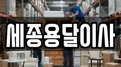 세종용달이사