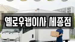 옐로우캡이사 세종점