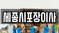 세종시포장이사