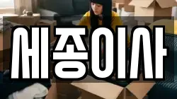 세종 다정동 이사,포장이사,반포장이사,원룸이사,사무실이사,용달이사,전국이사,보관이사