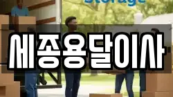세종용달이사
