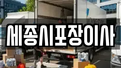 세종 새롬동 이사,포장이사,반포장이사,원룸이사,사무실이사,용달이사,전국이사,보관이사