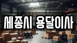 세종시 용달이사
