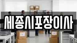 세종시포장이사