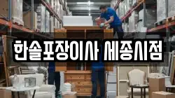 한솔포장이사 세종시점