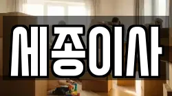 세종이사