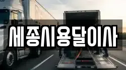 세종시용달이사
