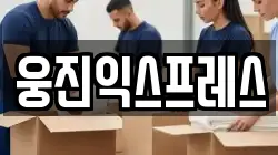 웅진익스프레스